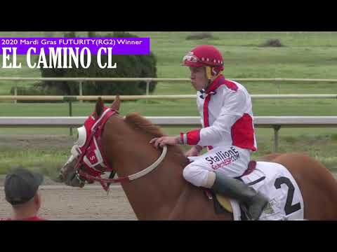 2020 Mardi Gras Futurity(RG2) Recap- Stallionesearch.com