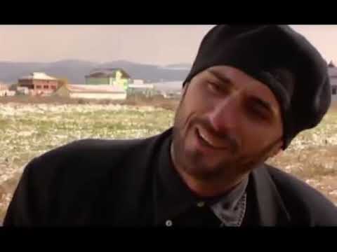 Stupcat - Asllan Pisi