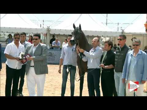 Most Beautiful Head Award - Class 9 - N. 131