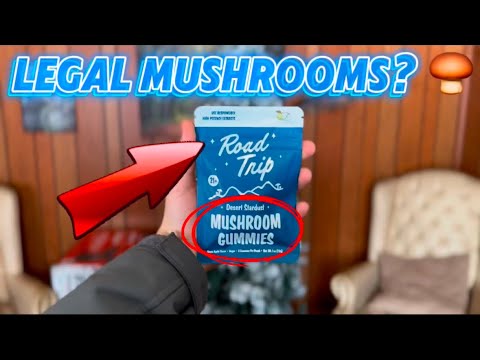 2026 ROAD TRIP GUMMIES DESERT STARDUST REVIEW  “DO THEY MAKE YOU TRIP?”