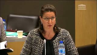 Auditions d'Agnès Buzyn, Ministre des Solidarités et de la Santé et de Jean-Michel Blanquer, Min