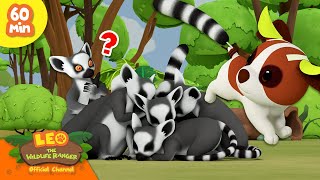 🦜🦍 ANIMALS OF MADAGASCAR! 🦎🐳 Lemurs, Chameleons, Whales!  | Leo the Wildlife Ranger | Kids Cartoons