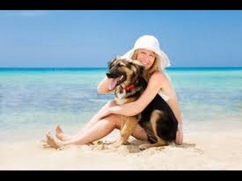 CANI IN SPIAGGIA: CAMBIA LA LEGGE ORA SI PUO' - iReporter per te 25/06/14 (2 di 3)