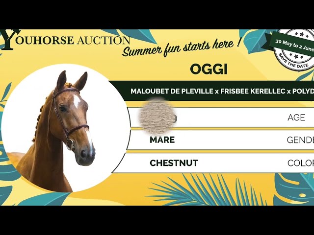 Oggi showvideo outdoor