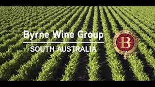 Byrne Wine Group, South Australia