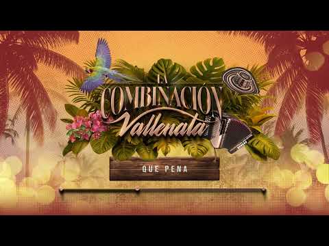 Que Pena, La Combinación Vallenata - Audio