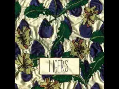 Ligers - What to Lose