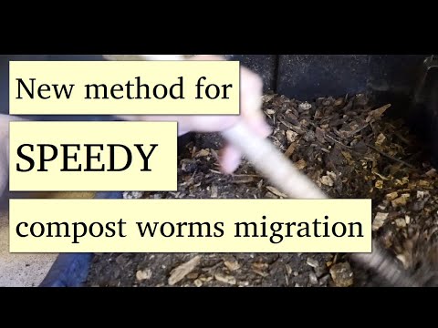 New method for horizontal worm migration to collect worm castings from worm bin.