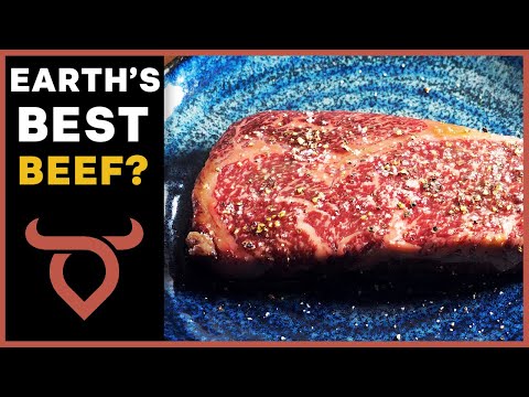 How To Cook $130 WAGYU STEAK & Potatoes