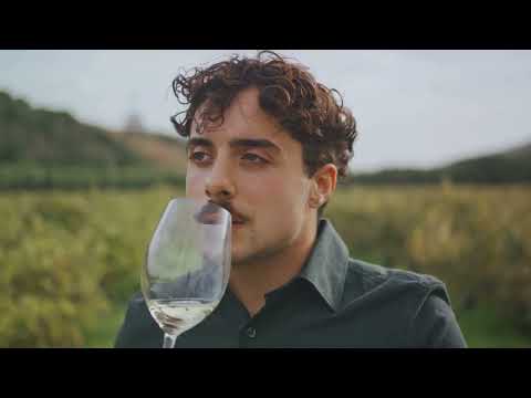 Exploring Italian Organic, Biodynamic, and Natural Wines | Sustainability in Viticulture