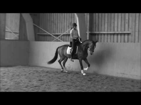 Scuderia Dancier komplett