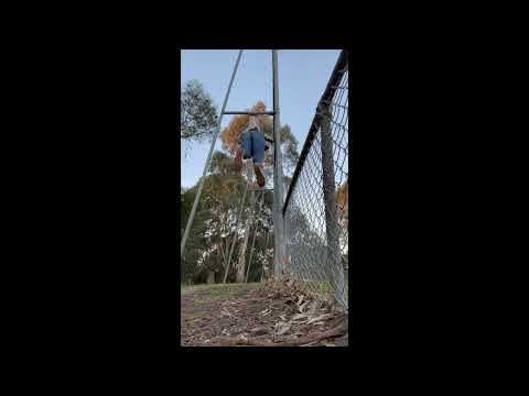 Hanging Wedgie