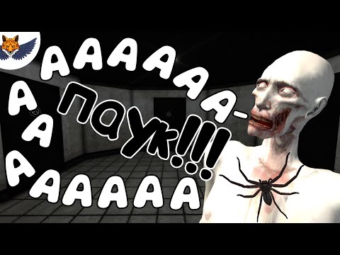 На Мне ПАУК!!! | SCP: Secret Laboratory #49