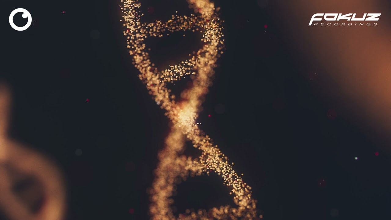 Phaction - What U Need ft Stormae