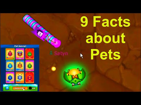 Littlebigsnake.io :) New Update :) Pet Updates!! 9 Facts about Pets!!!