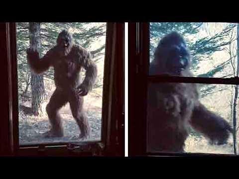 This Man Captures The Clearest Bigfoot Image In Existence