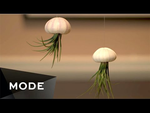 DIY Jellyfish Air Plant | Glam It Yourself