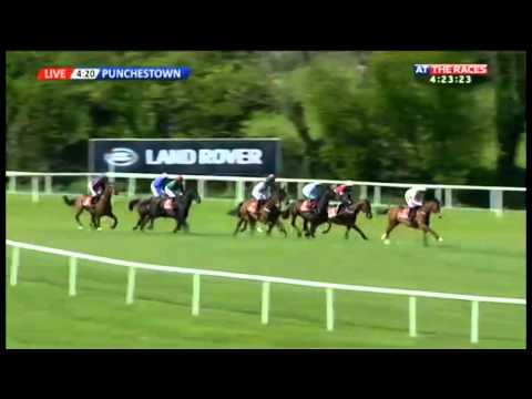 Faugheen - Herald Champion Novice Hurdle 2014