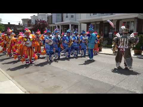 Greater Kensington String Band