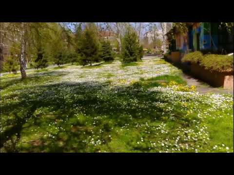 Taj mesec maj, Sanja Kostic-vocal