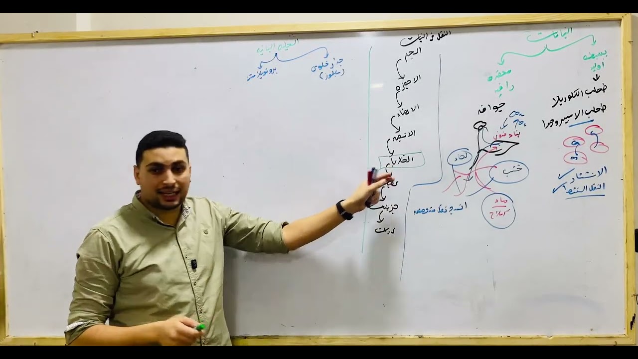 شرح النقل في النبات مع كل الاساسيات المهمة احياء تانية ثانوي (الجزء الاول)