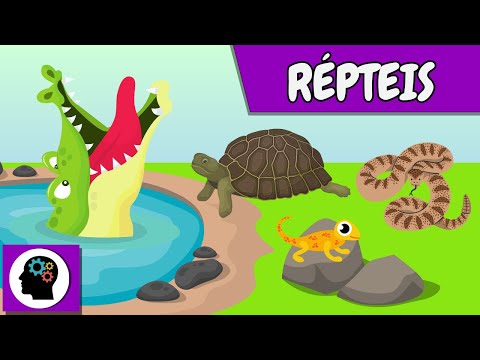 Resumo - RÉPTEIS