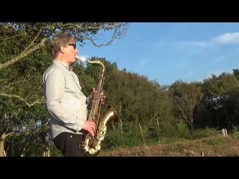 Saxophon-Livemusik - Wayfaring Stranger