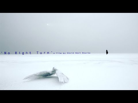 afbeelding No Right Turn