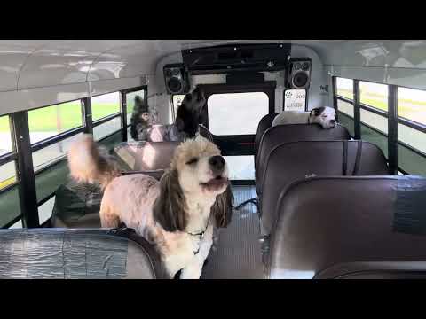 Eddie ft. Apollo 🎶🔊