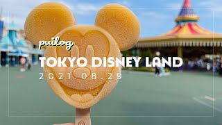 【ディズニーランド】エントリー全部当選！21年8月末の日曜日の混雑状況　1日vlog🐦【快適】