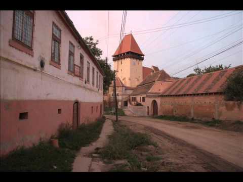 Moti florian din ighisu nou