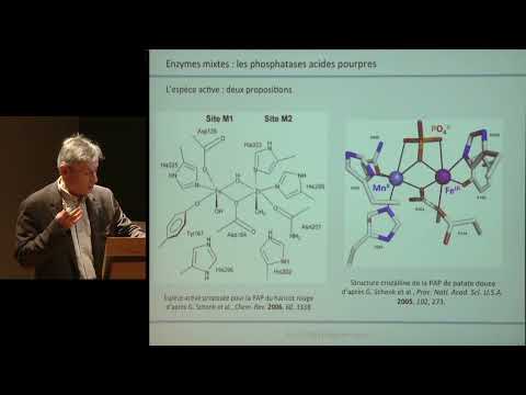 Clusters métalliques et enzymes : le vivant inorganique (5) - Marc Fontecave (2012-2013)