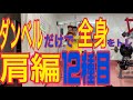 筋トレ 自宅でダンベルのみで全身をトレーニング。肩編 全12種目