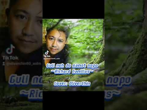 Guli Noh Namot Nopo (richard karmilus) cover by oliverchin😎