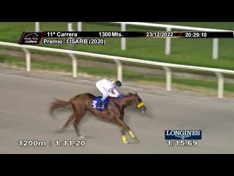 221223 c11 AVE LEGAL