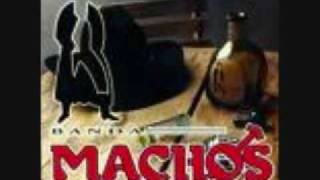 banda machos-los calzones de la dama