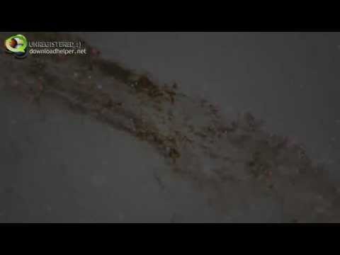 Acercamiento a la extraña galaxia Centaurus A