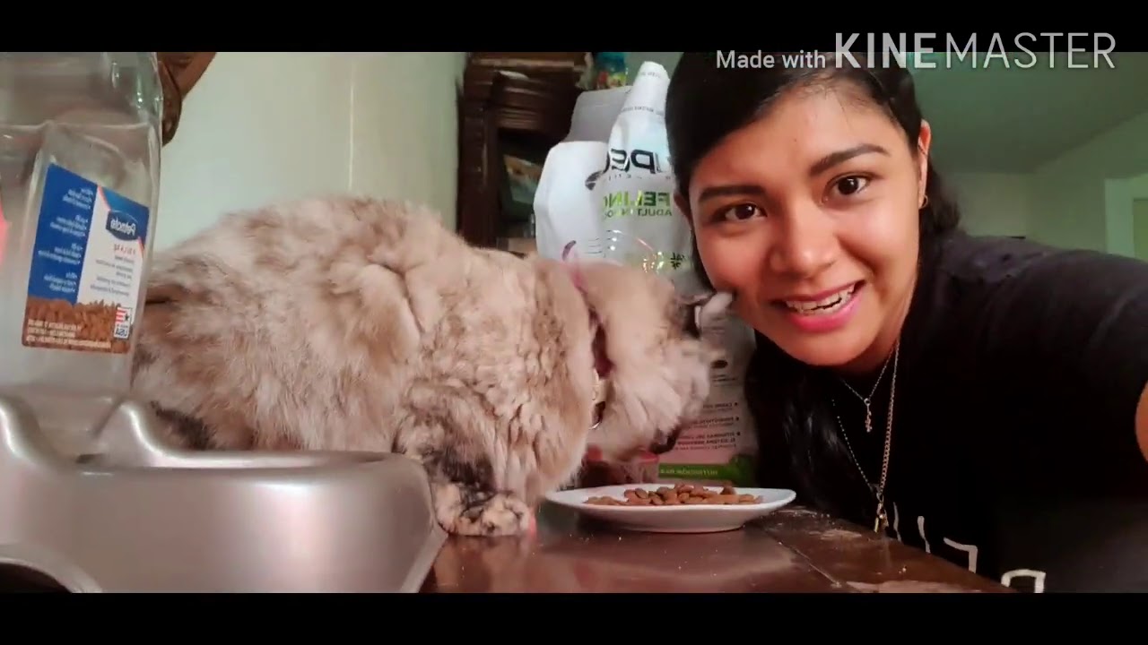 Nupec y Chanel #nuevoalimento #chanelpet #mascotas #gato