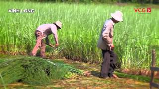 Mekong Delta - Vietnam's Dream Land