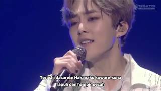 EXO-CBX - &#39; PAPER CUTS &#39; LIVE MAGICAL CIRCUS 2019 at Saitama Super Arena [LYRICS+TERJEMAHAN]