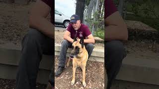 Video preview image #1 Mutt Puppy For Sale in Pasadena, CA, USA