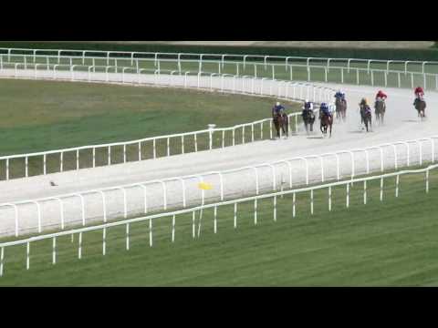 2017.05.21. 4. futam - BALBINUS HENDIKEP (II.o.) (szintetikus pálya)