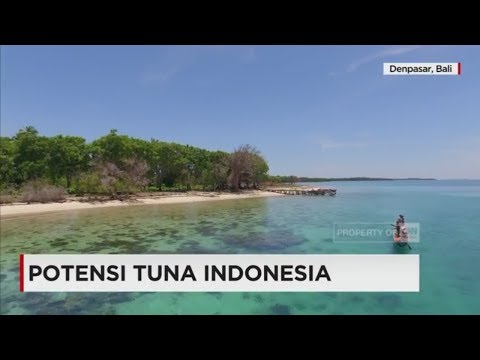 Jenis dan penyebab impotensi Royal jelly untuk potensi