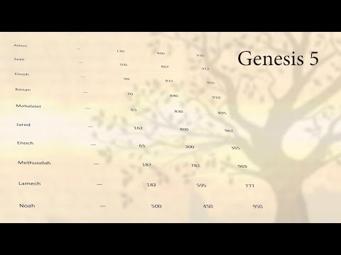 Genesis 5: 900 Year Old Man?
