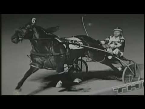 1980 Meadowlands Pace - Niatross