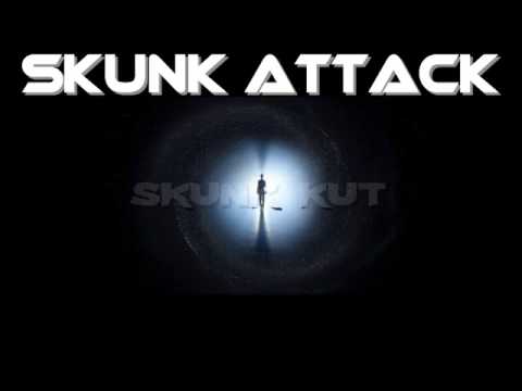 SKUNK ATTACK - skunk kut