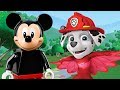 LEGO Mickey Mouse Paw Patrol PJ Masks Finger Family Song Nursery Rhymes Lyrics