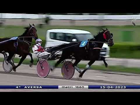 Aversa trotto 15 Aprile 2023 - 4° Corsa