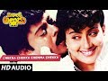 Mechanic Alludu - CHEKKA CHEKKA CHEMMA CHEKKA song | Chiranjeevi | Anr | Vijayashanthi Telugu Songs