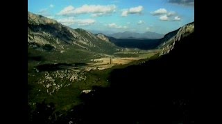 Eno Moebius Roedelius - The Shade